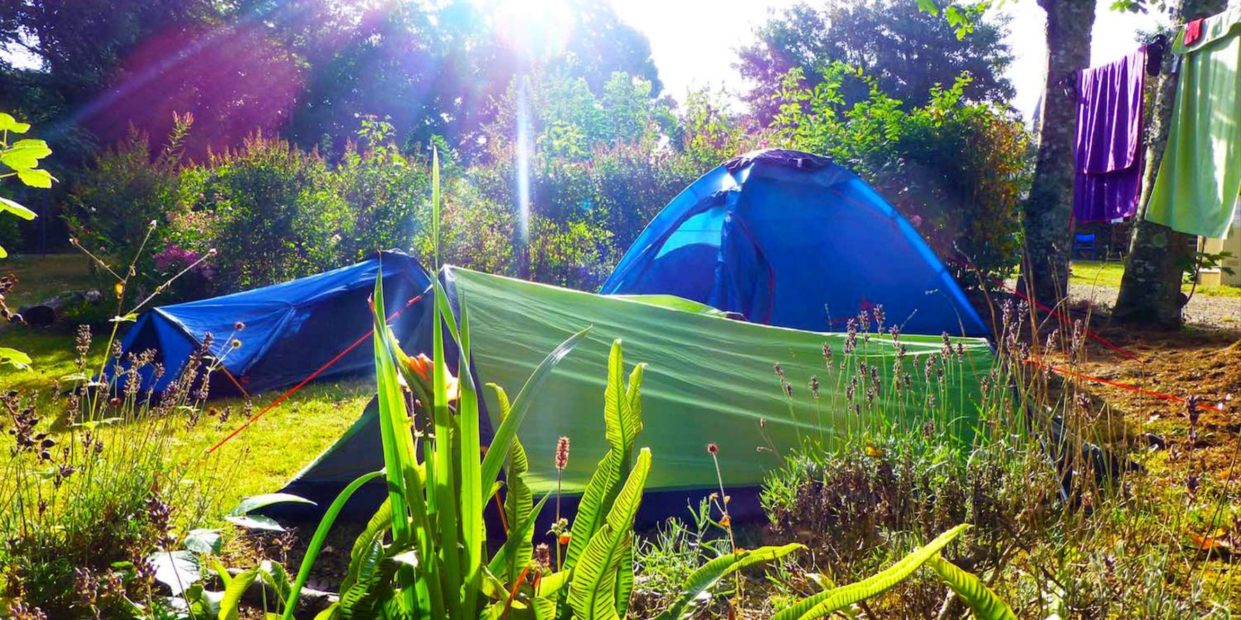 Emplacement camping Bretagne Forfait Privilège